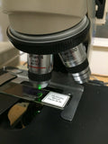 Olympus BH-2 Fluorescent Microscope System 4/10/40/100X FITC DAPI TRITC Cubes Complete