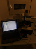 Olympus CK2 Inverted Trinocular Microscope Phase Contrast 5MP USB Cam 4/10/40 PL Complete