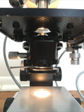 Leitz HM-LUX Clinical Microscope 4 Objectives 4/10/40/100 Oil Nice Extra Bulb Complete