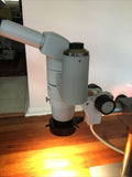 Nikon SMZ800 Stereozoom 8-80x Microscope Stand Camera Port 10x Ergo Head PLAN 1x Complete