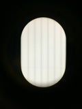 Zeiss Light-Section Microscope 200x/400x 16x Eyepiece Micrometer Microfilar