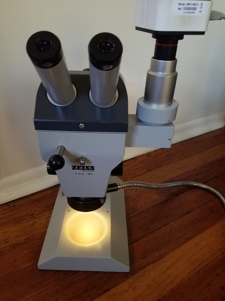 Microscope Nice Zeiss Stereo Zoom Microscope With Photo Tube and Ring Light 12x-75x Ni ...