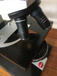 Wild Leitz Biomed Phase Contrast DF Microscope 4 Lenses 4/10ph/40ph/100ph Oil