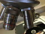 Reichert Zetopan Trinicular Microscope 6 Lenses