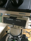 Olympus BH-2 Fluorescent Microscope System 4/10/40/100X FITC DAPI TRITC Cubes Complete