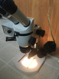 Wild Heerbrugg M3 Stereozoom Microscope 6.4x/16x/40x 10xG Eyepieces Stand Lights Complete