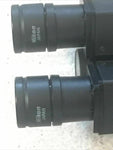 Nikon Optiphot Labophot Ergonomic Tilting Binocular Head with 10X Eyepieces